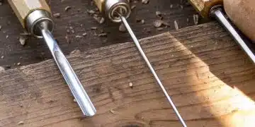Des astuces pour se débarrasser des termites